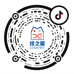抖音视频号